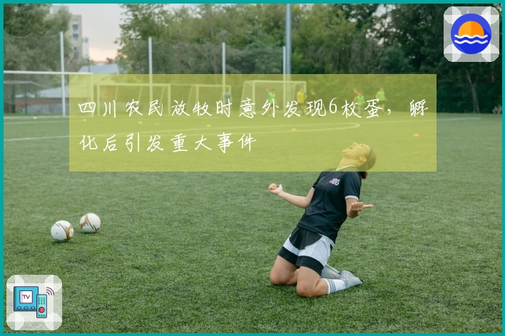 四川农民放牧时意外发现6枚蛋，孵化后引发重大事件