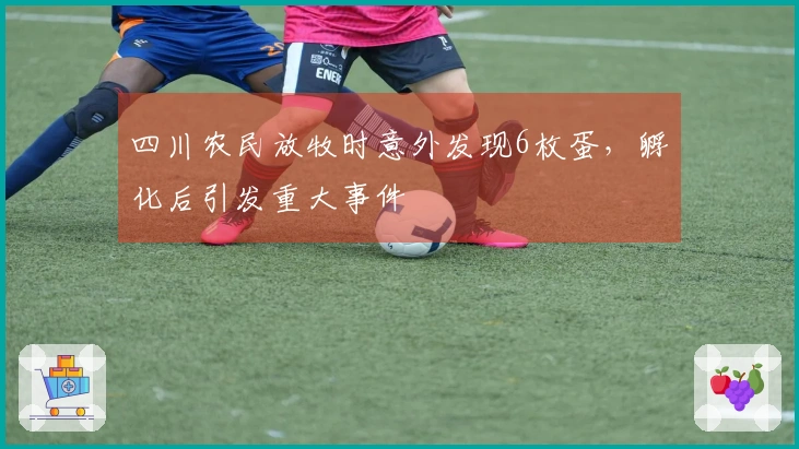 四川农民放牧时意外发现6枚蛋，孵化后引发重大事件