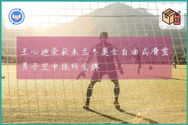 王心迪荣获米兰冬奥会自由式滑雪男子空中技巧金牌