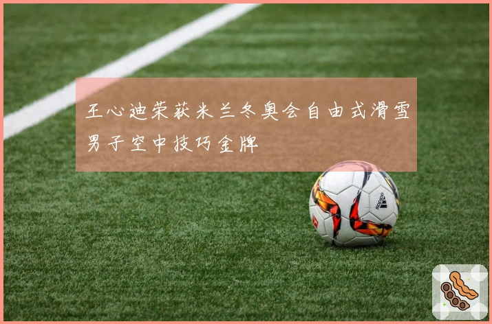 王心迪荣获米兰冬奥会自由式滑雪男子空中技巧金牌